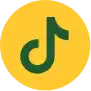 TikTok Icon